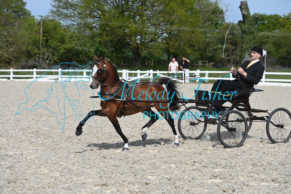 MFP_2284