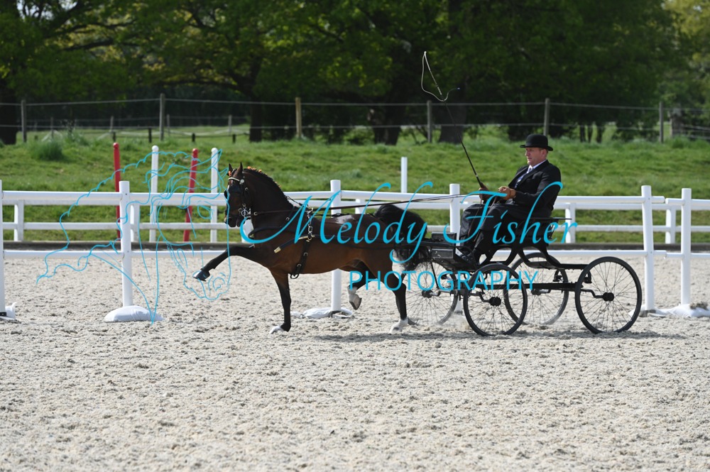 MFP_2338
