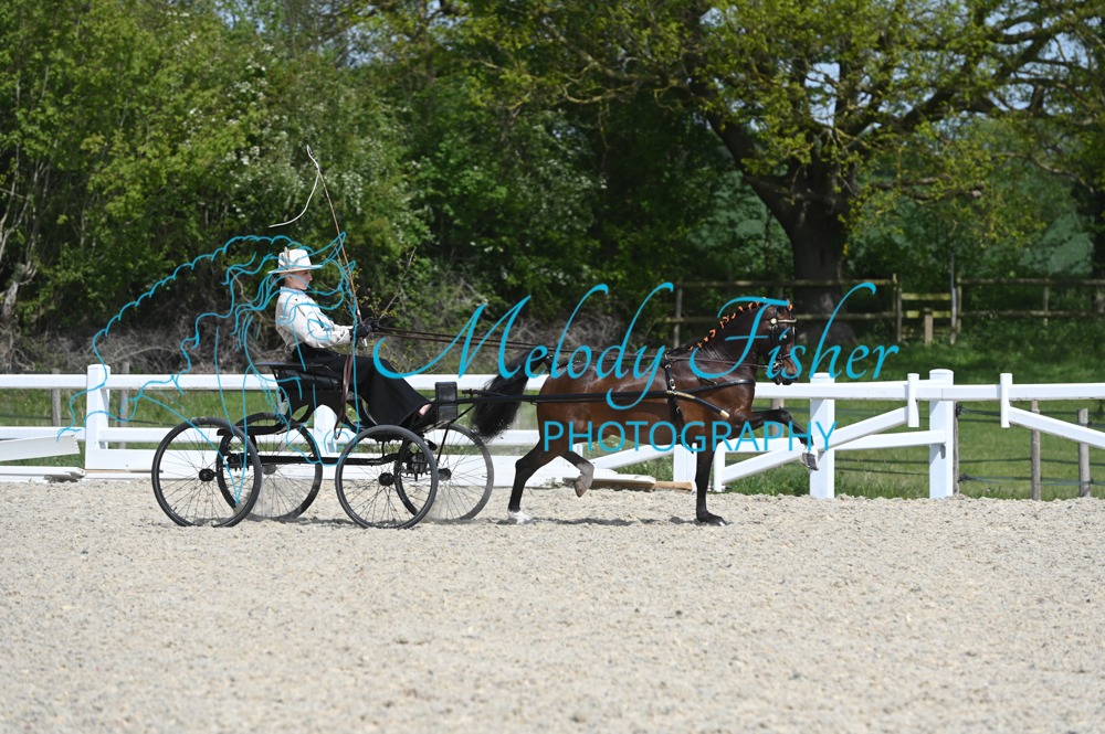 MFP_2012