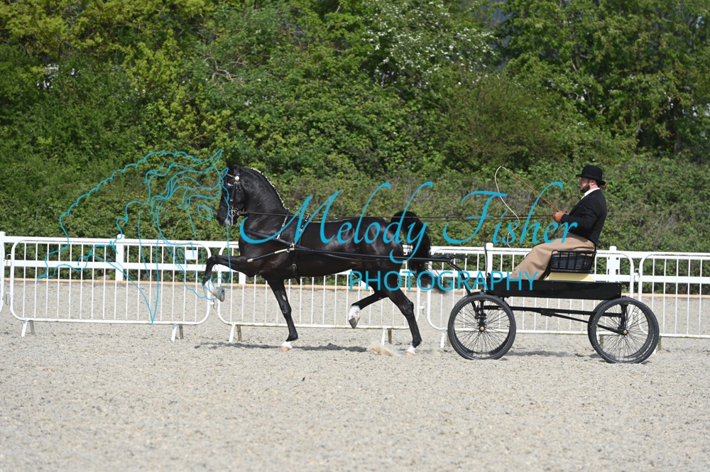 MFP_1776