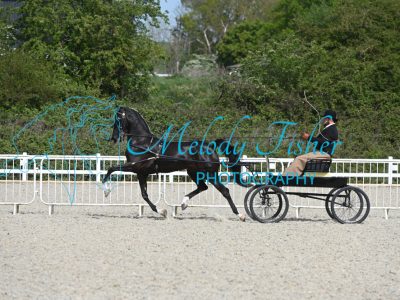 MFP_1786