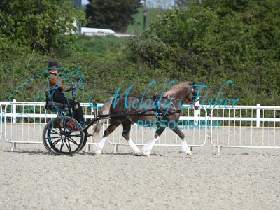 MFP_1623