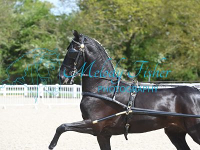 MFP_1794