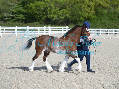 MFP_1410