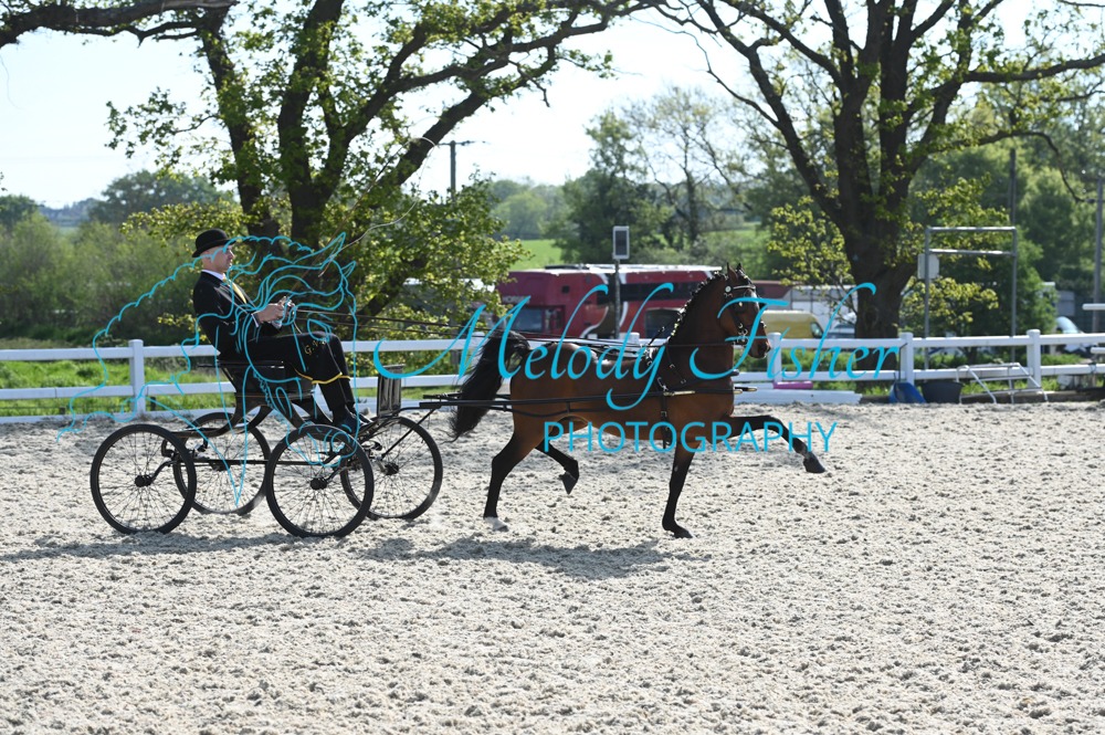 MFP_1538