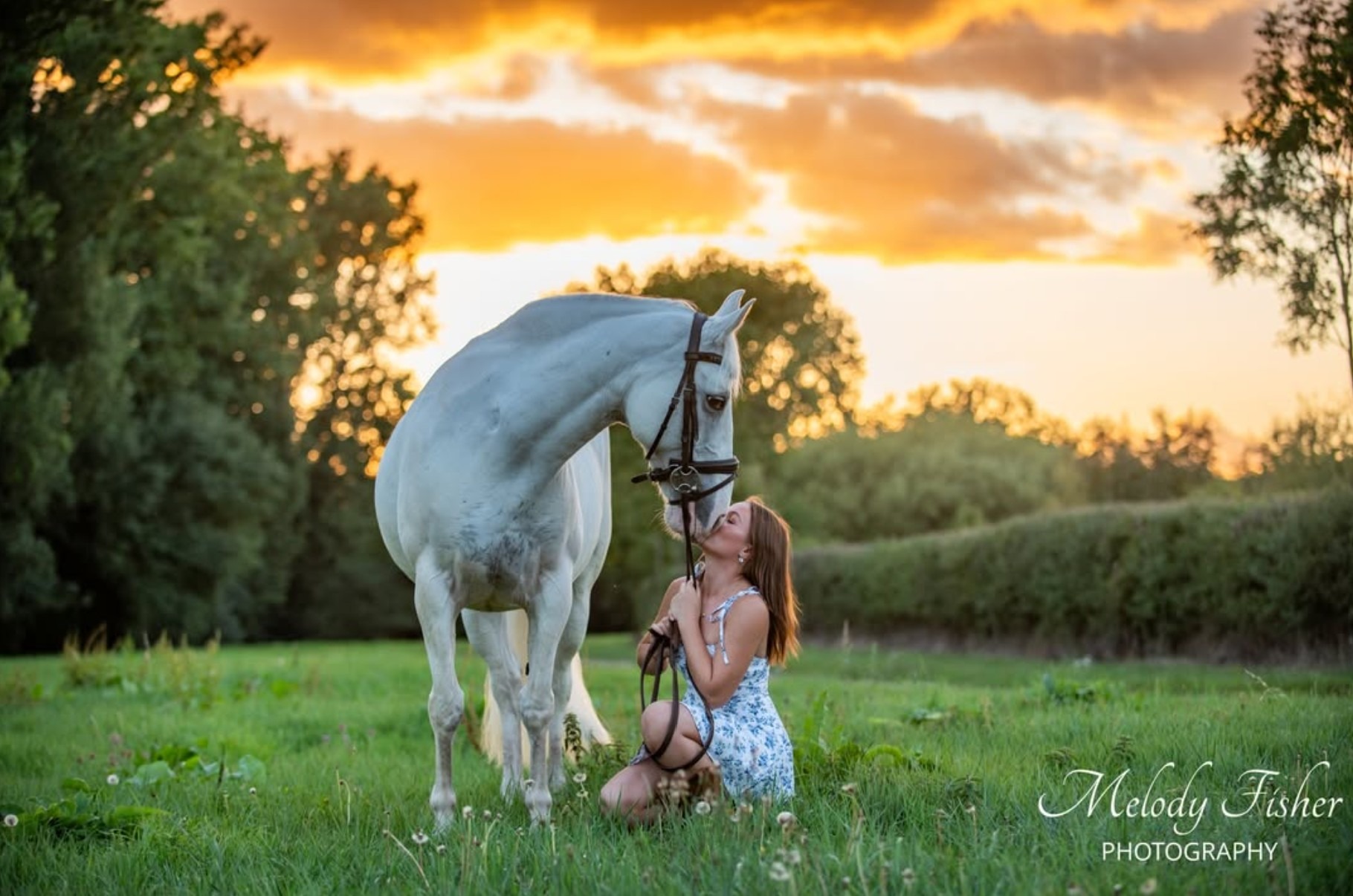 Photo Shoot: Horse at Sunset