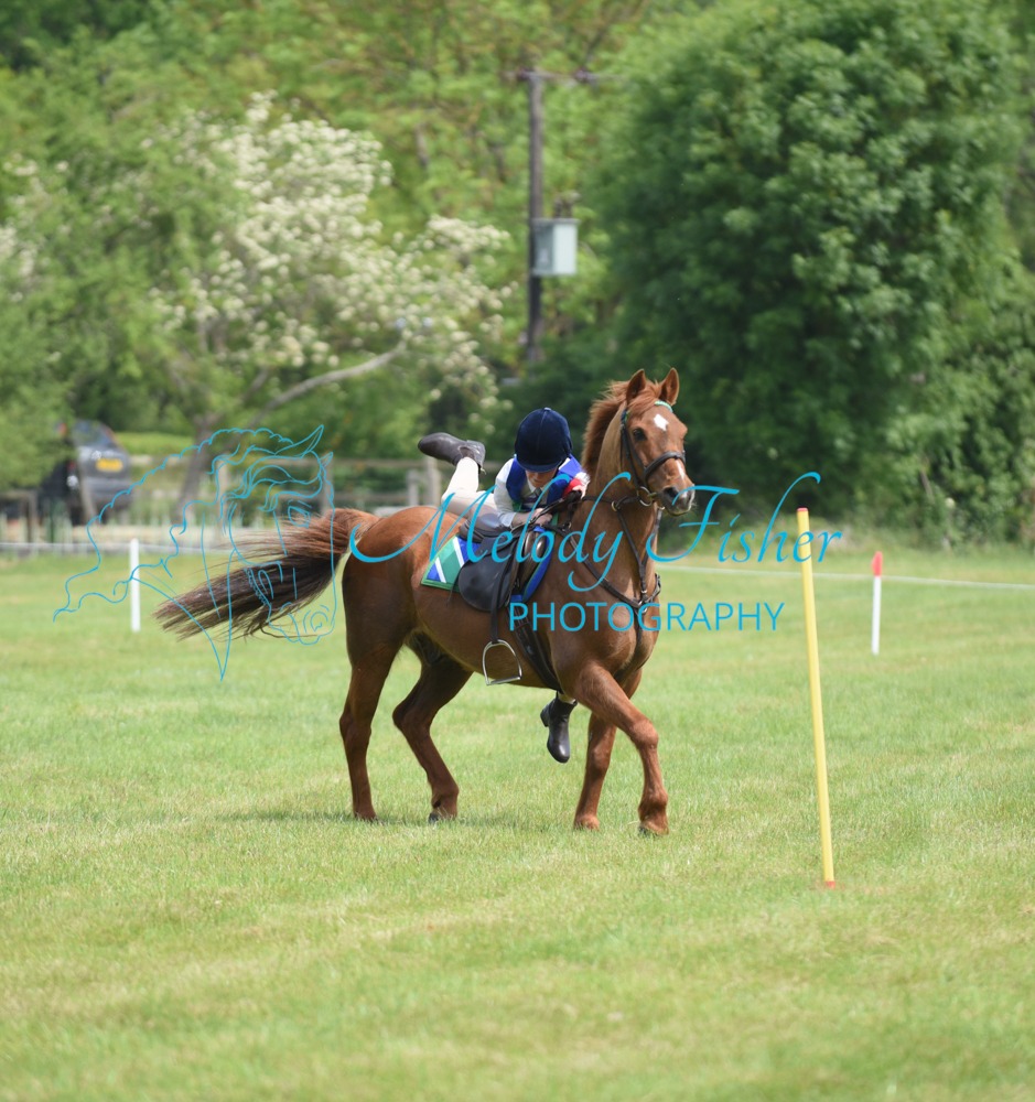 DSC_2292