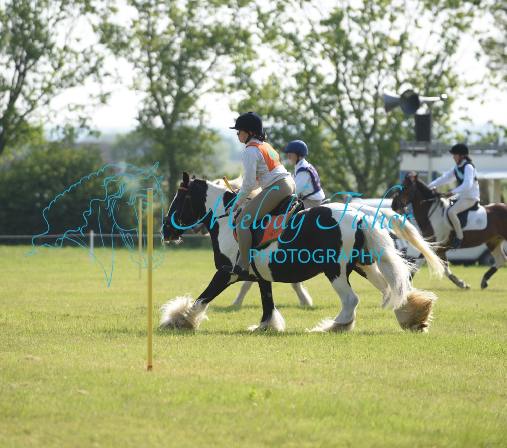 DSC_1687