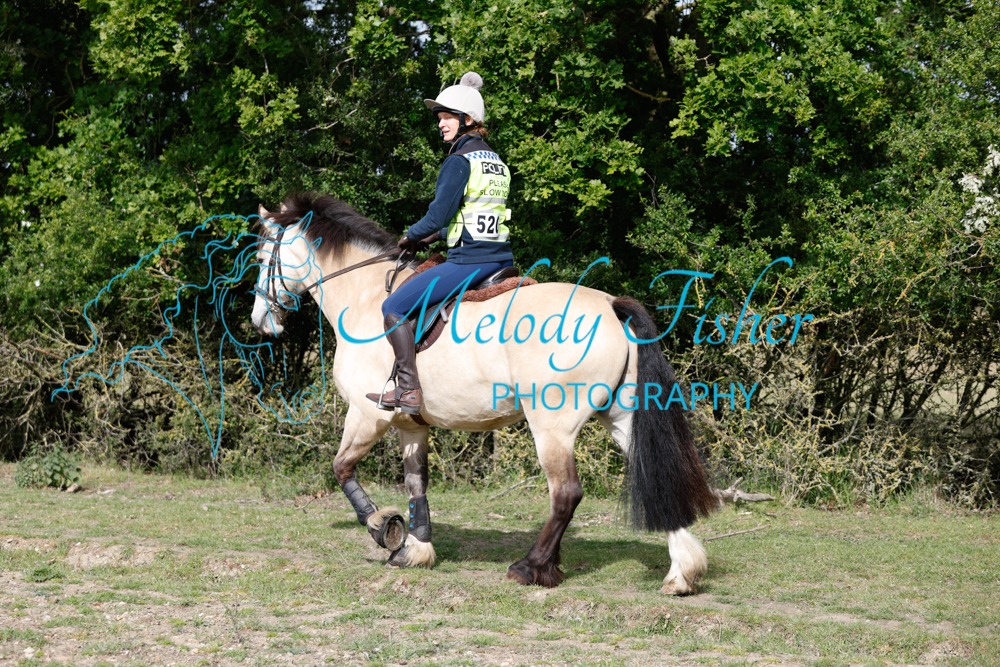 L9A7334
