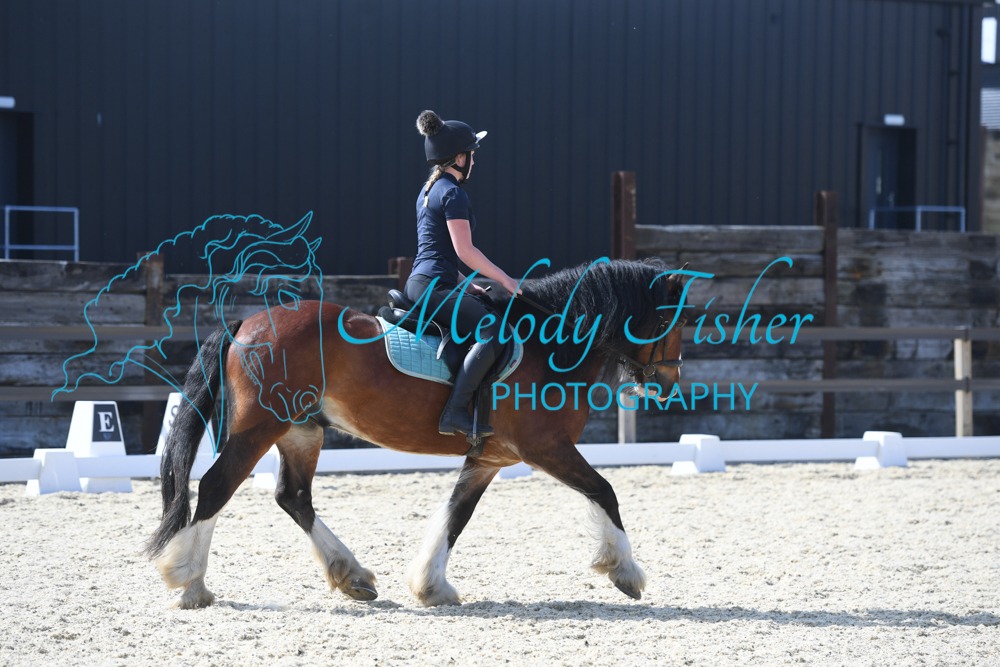 MFP_4579