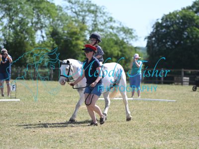 MFP_8545