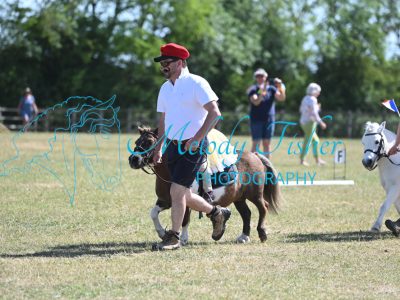 MFP_8551