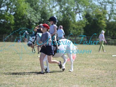 MFP_8556