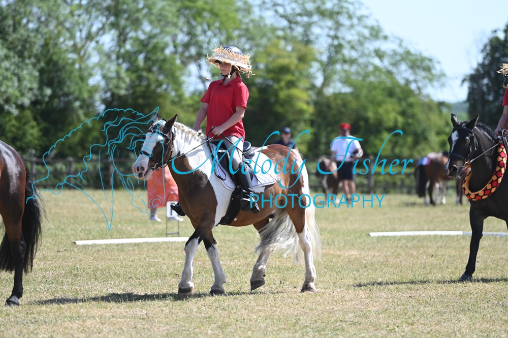 MFP_8761