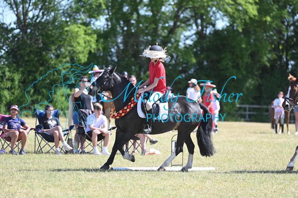 MFP_8784