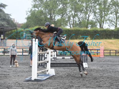 MFP_0274