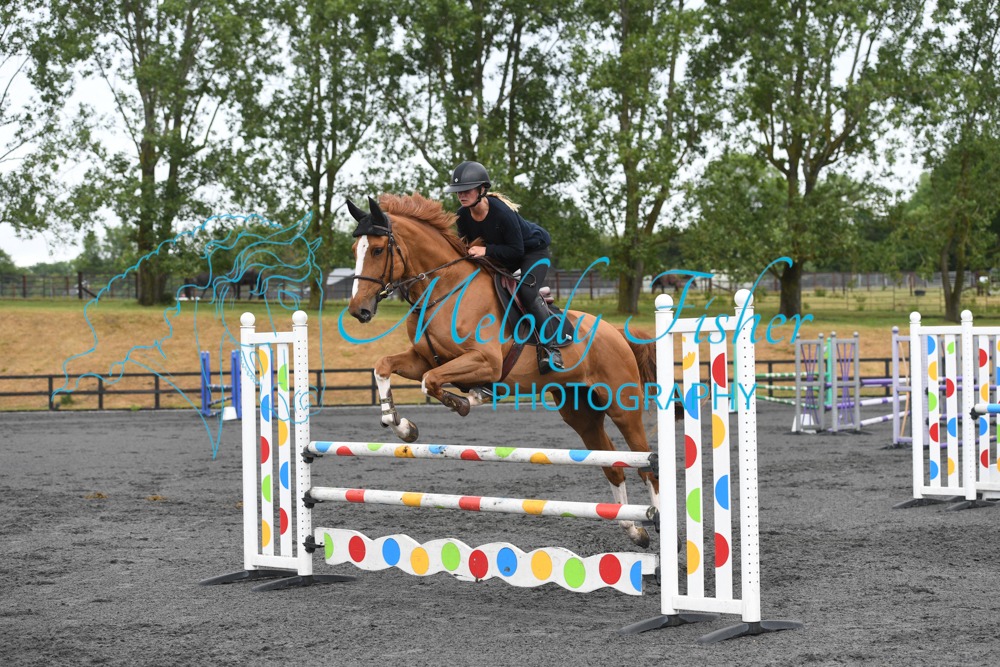 MFP_0233