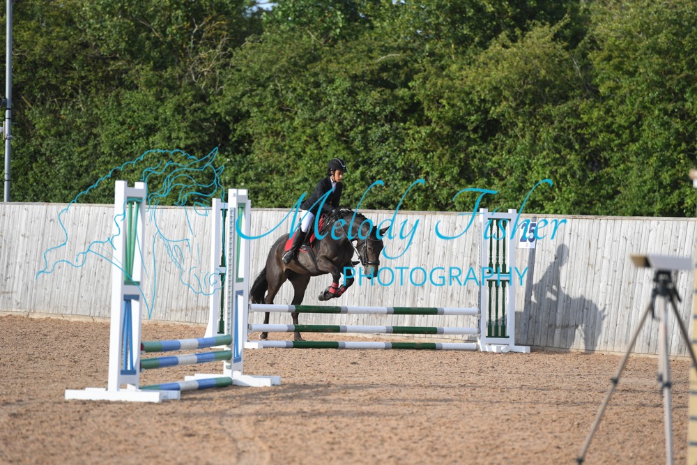 MFP_0339