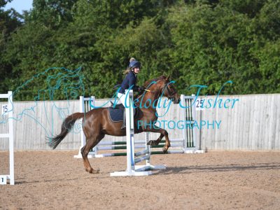 MFP_0291