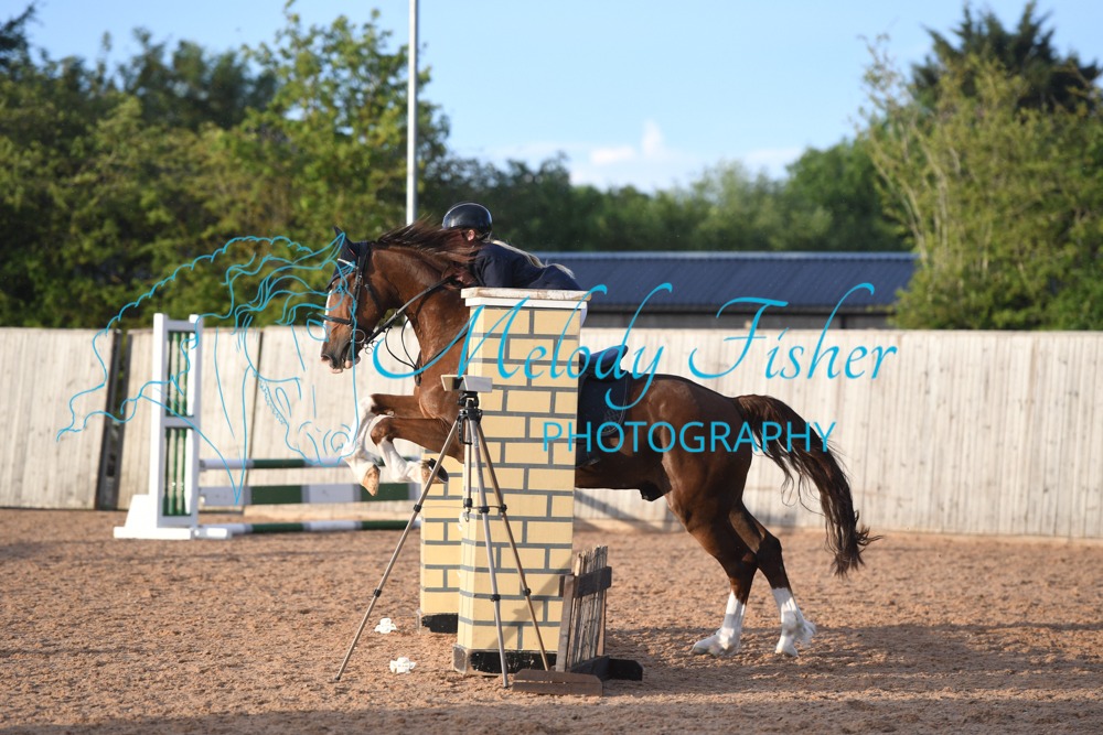 MFP_0432
