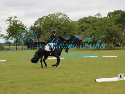 IMG_0531
