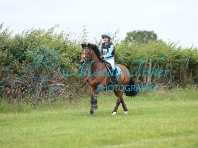 MFP_0764