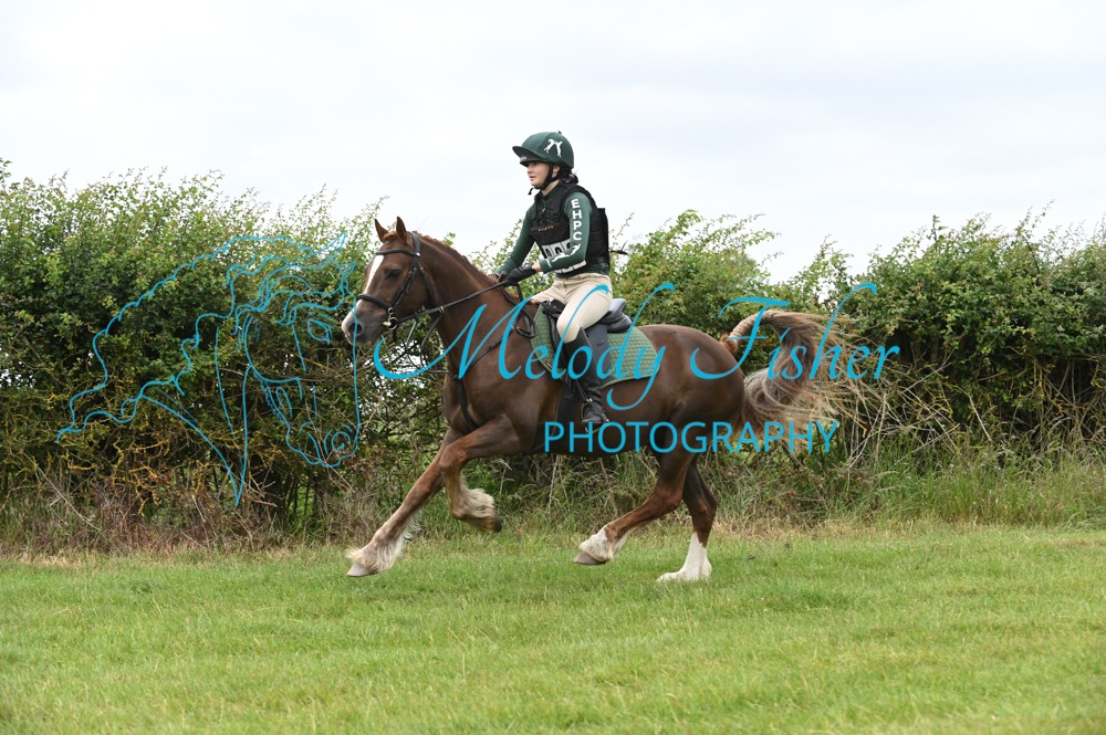 MFP_0797
