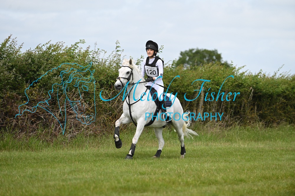 MFP_0734