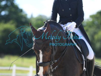 MFP_2919