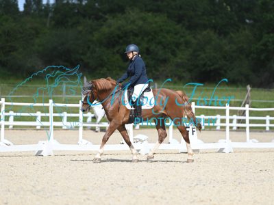 MFP_1091