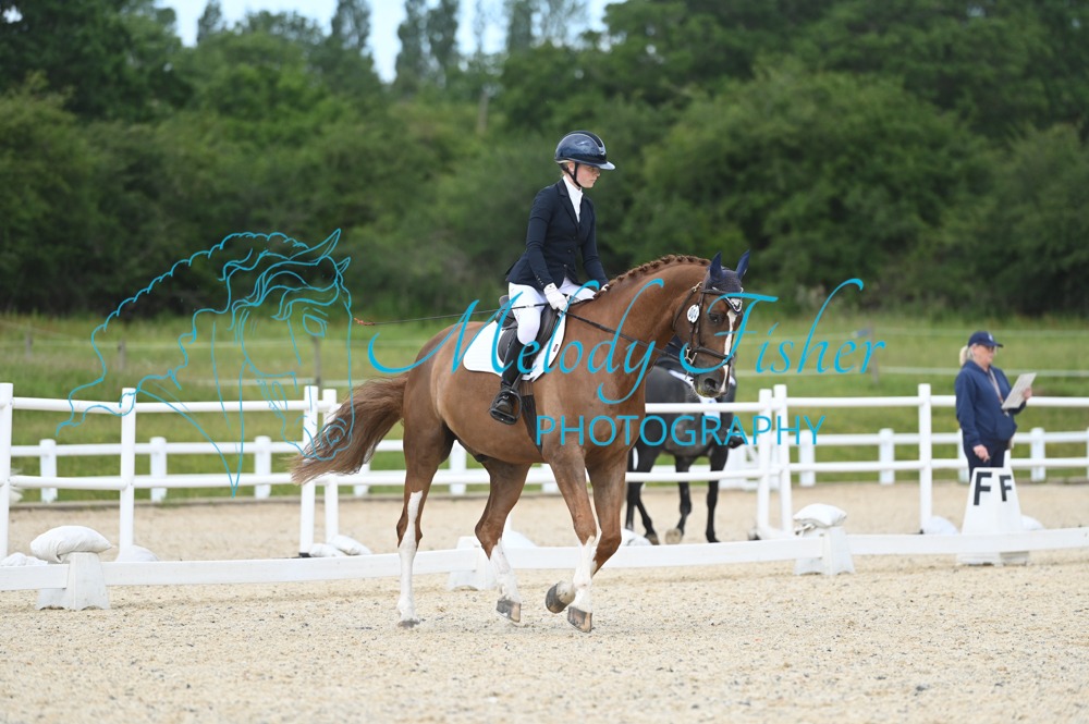 MFP_1319