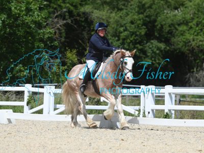 MFP_2094