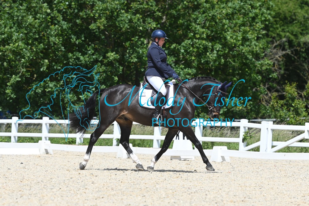 MFP_2012