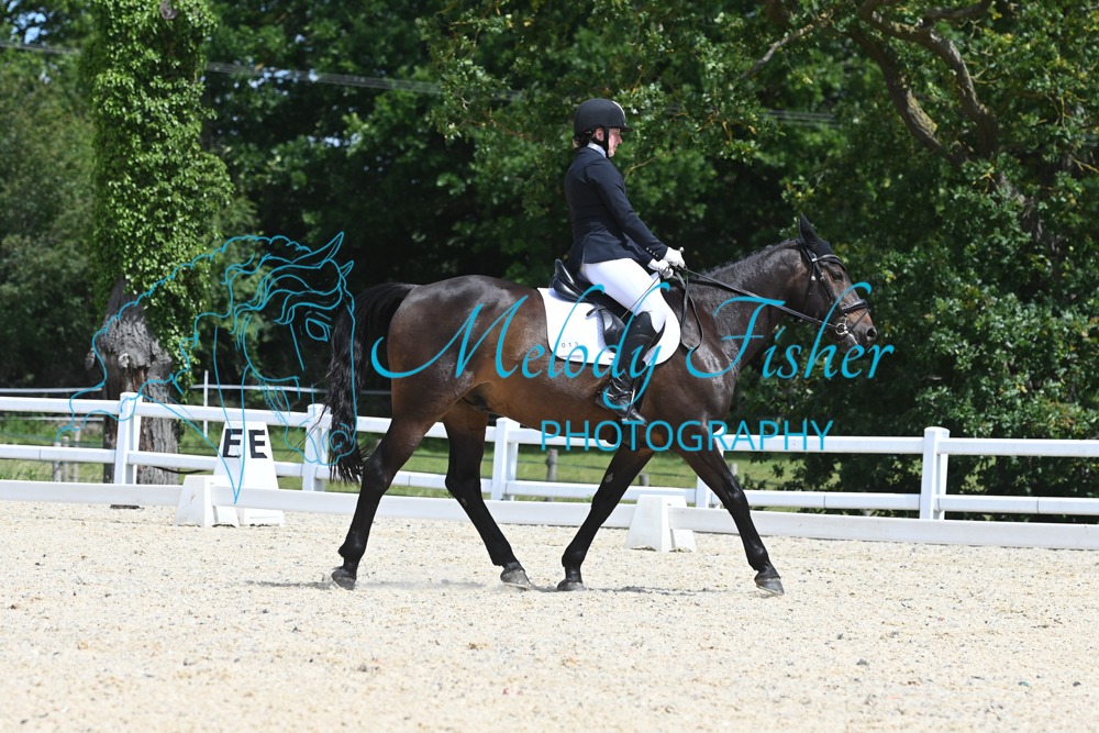 MFP_1619