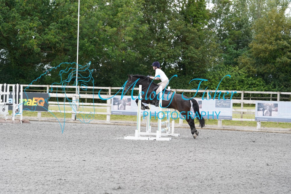DSC03268