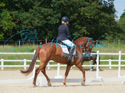 CPRE6445