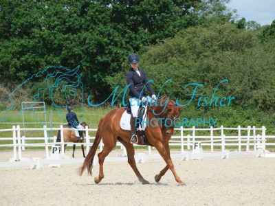 CPRE6446