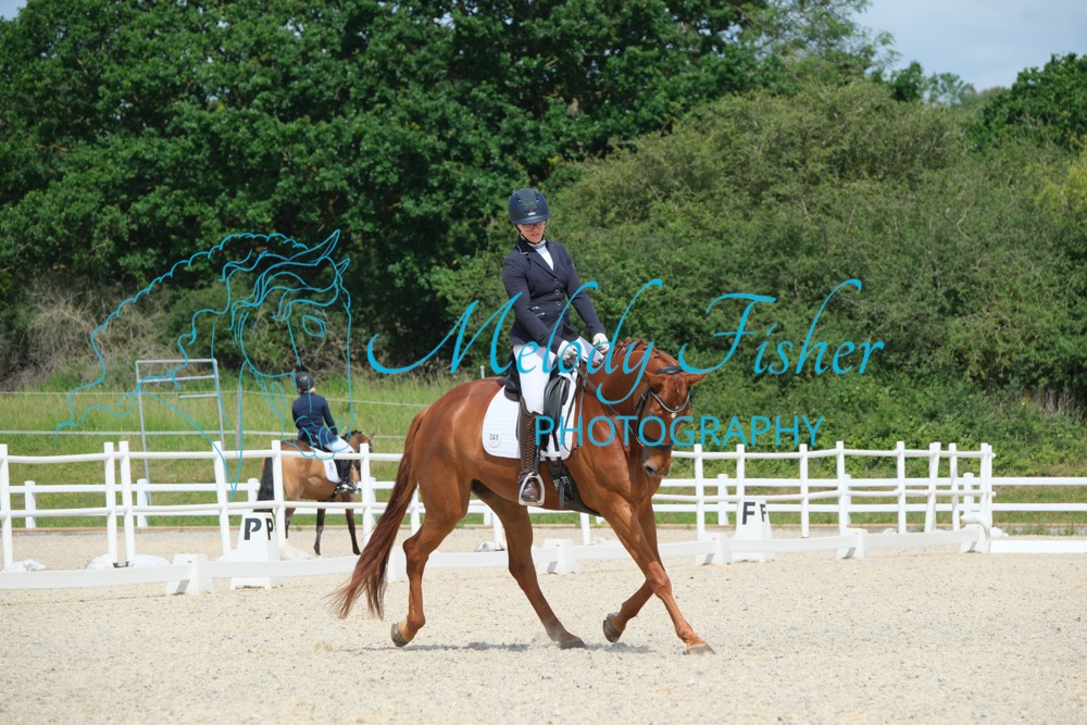 CPRE6446