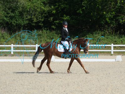 CPRE5880
