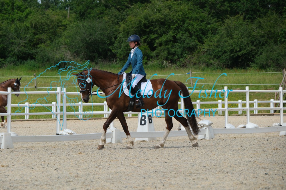 CPRE6675