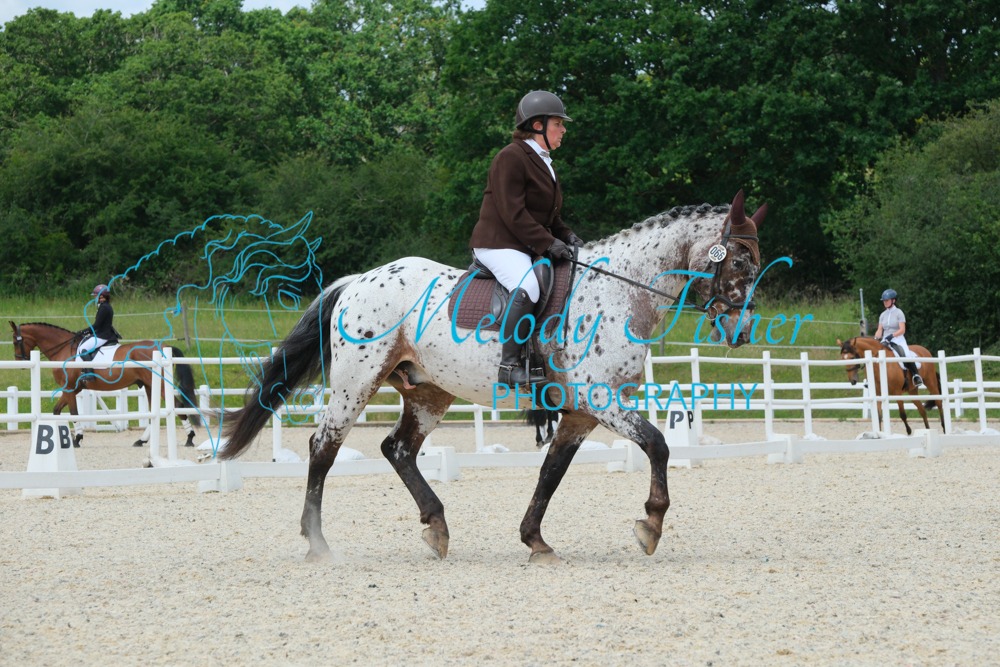 CPRE6763