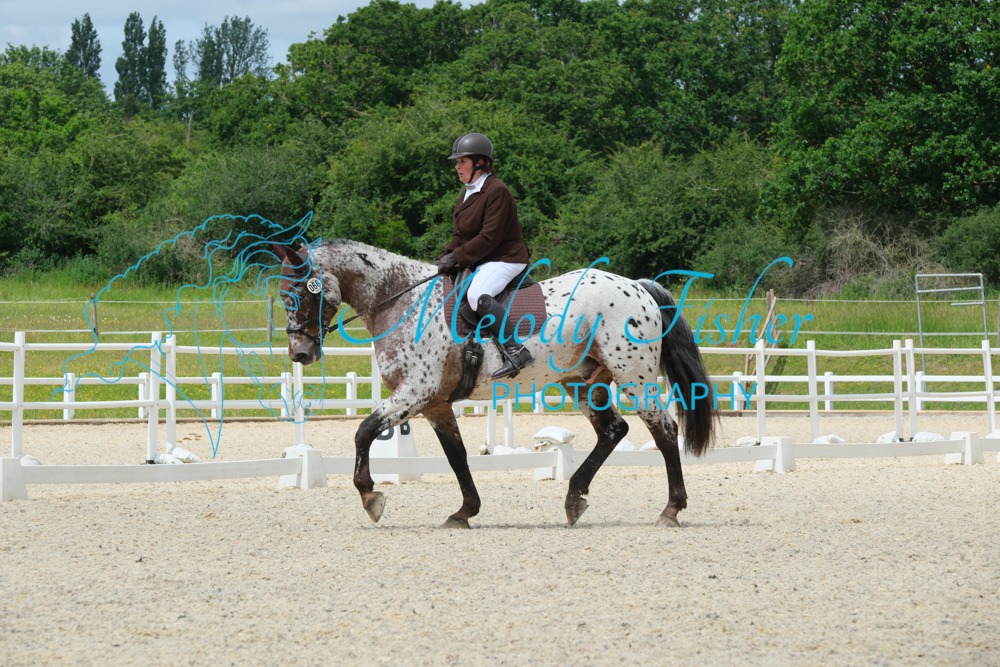 CPRE6765