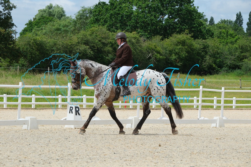 CPRE6766