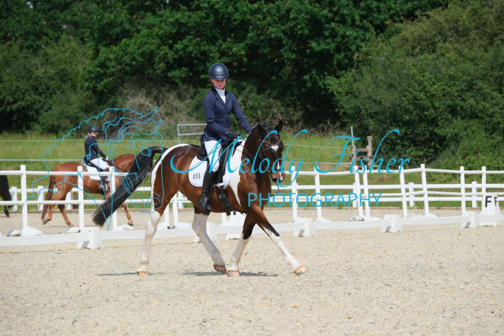 CPRE6419