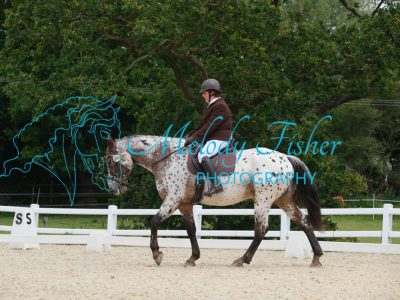 CPRE6903