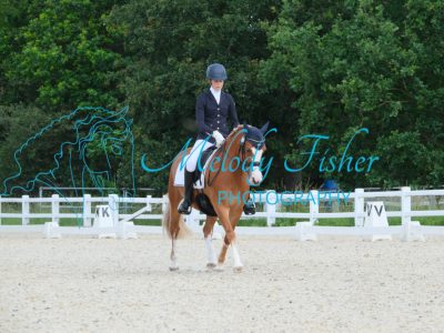 CPRE6533