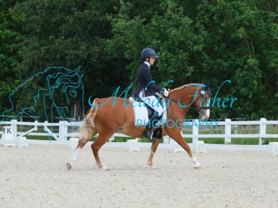 CPRE6539