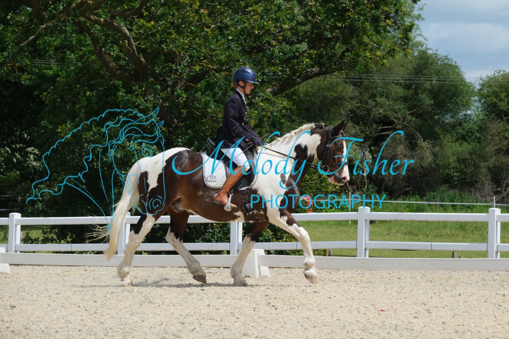 CPRE6691