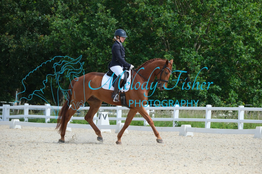 CPRE6334