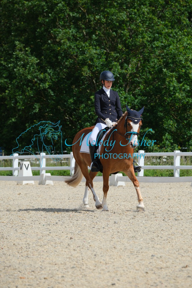 CPRE6409